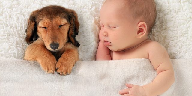 El día que en que nací