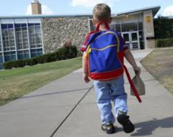 Colegio / Educación