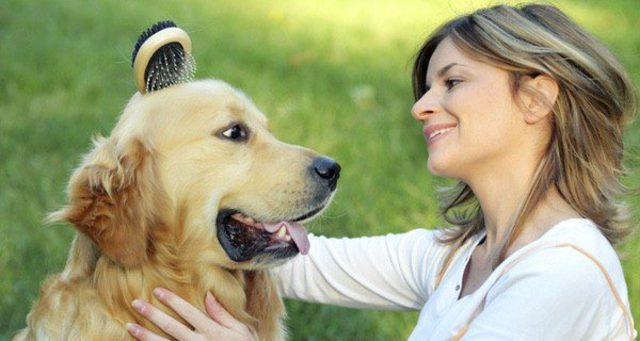 Cuidar el perro adoptado