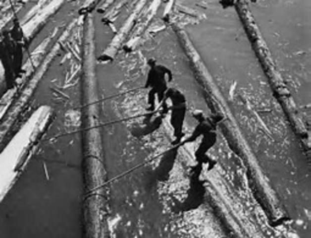 1810:Timber trade replaces fur trade