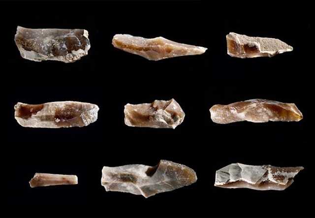 La cultura Auriñaciense