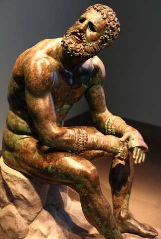 Seated boxer