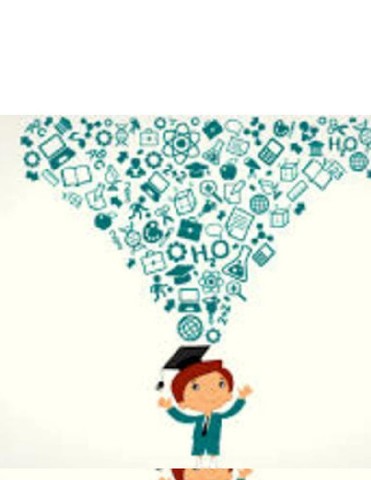 DISMINUCIÓN DE LAS UNIDADES CURRICULARES