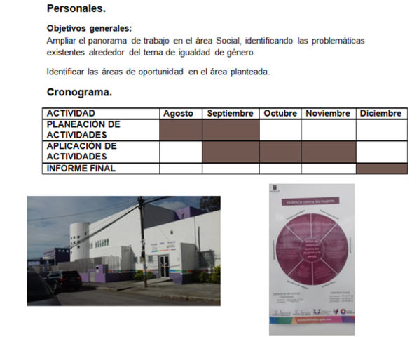 Entrega semanal de evidencia fotográfica