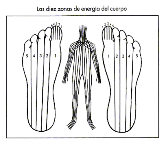 El doctor Fitzgerald y su colega el doctor Edwin Bowers