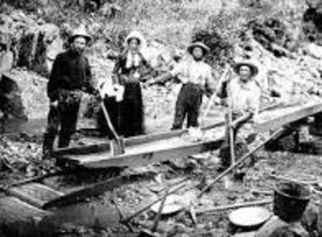 The California Gold Rush