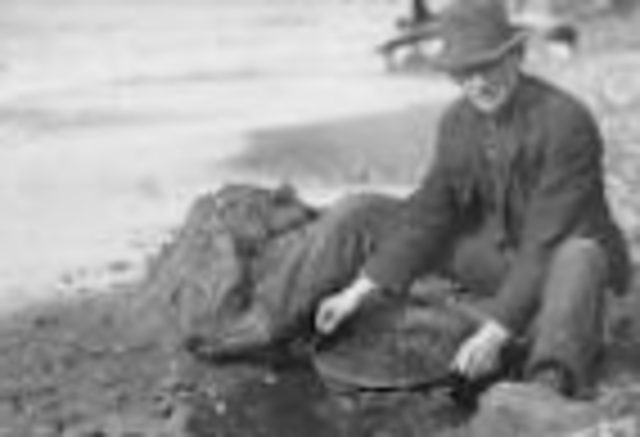 California Gold Rush