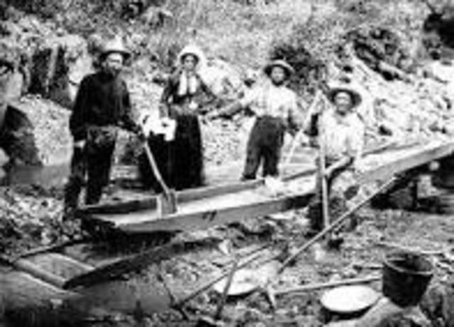 CA Gold Rush