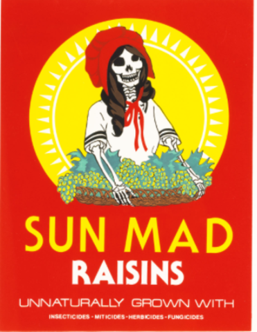 Sun Mad