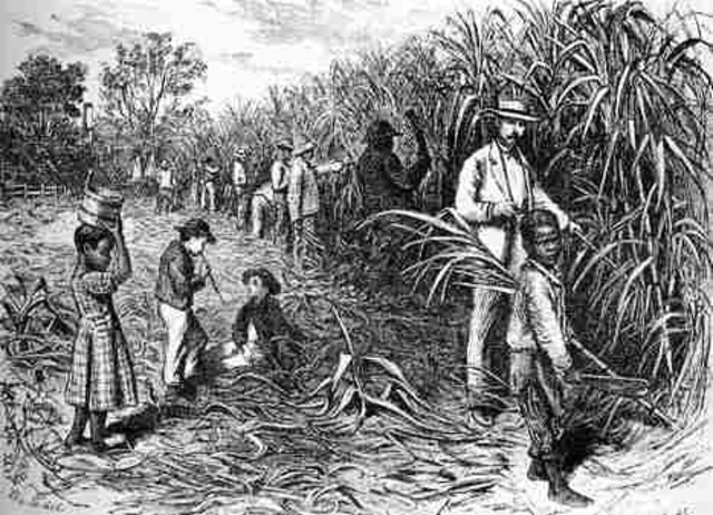 The Sugar Act is Passed