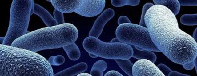 Se creará vida artificial con ingeniería genética