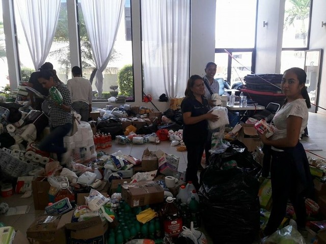 Desarrollo de los objetivos y las hipótesis y  Entrega de evidencia fotográfica