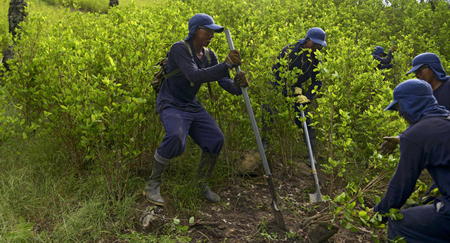 Conformación carteles de droga