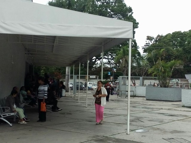 Recolección de datos seleccionados y Entrega de evidencia Fotográfica