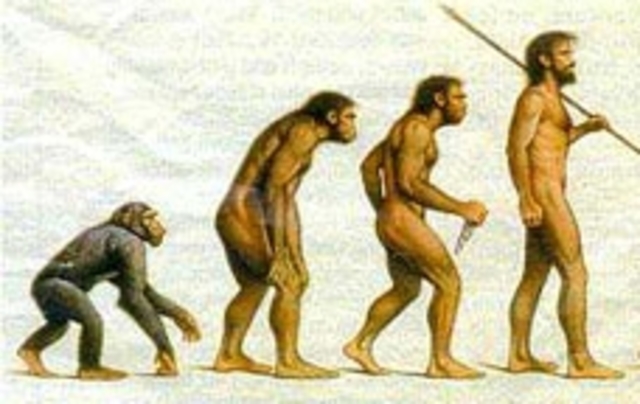Apareixen els primers homínds: fa 4,5 Ma