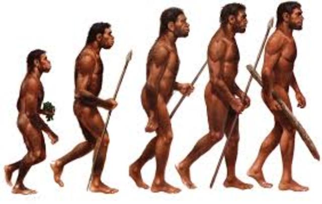 Apareix el gènere Homo: fa uns 2,5 o 2,6 Ma