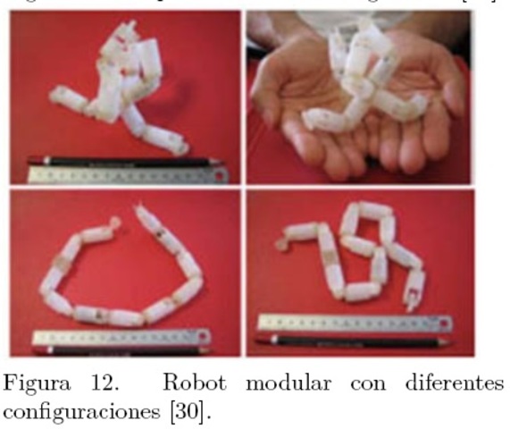 Sistema Quirúrgico Endoluminal con Ensamblaje y Reconfiguración