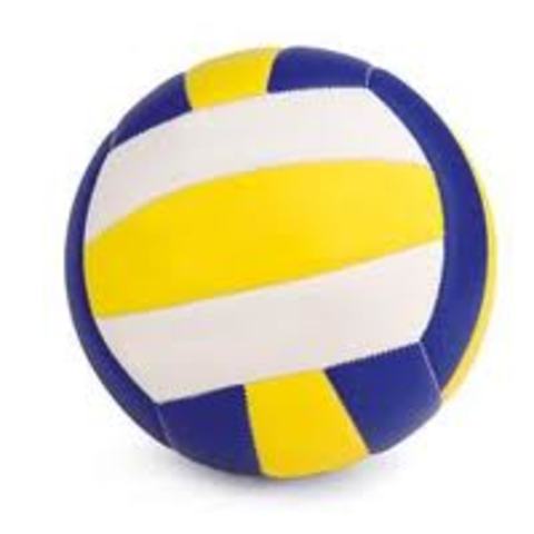 Como es el balón  de voleibol