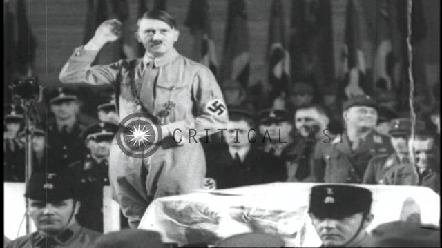 Hitler rises to power