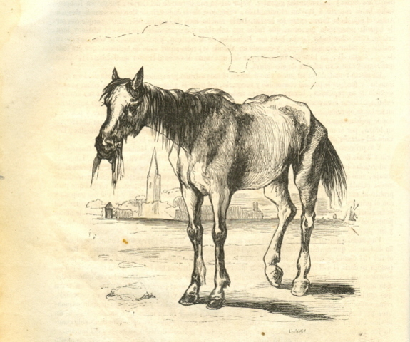 Cap 1. Requisitos para poder convertirse en un caballero