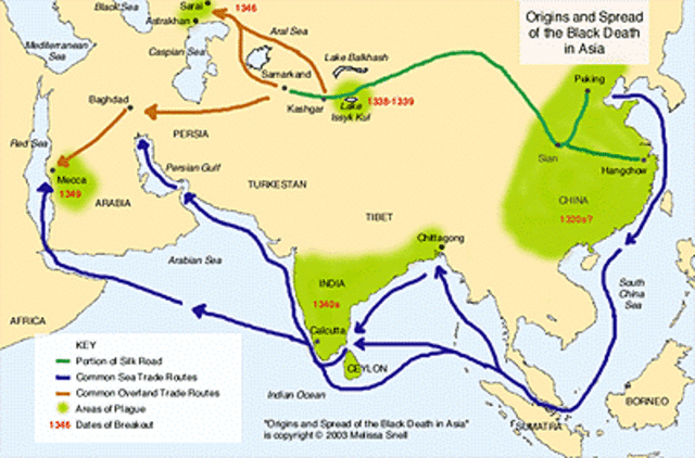 The bubonic plague started to spread through China and the MIddle East