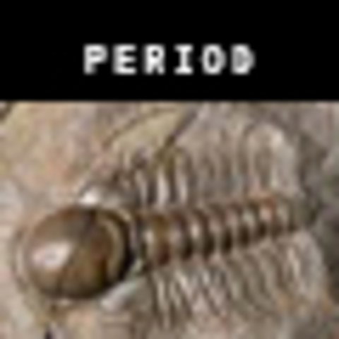 CAMBRIAN: Explosion of Life on Earth