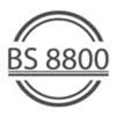 BS 8800 de 1999