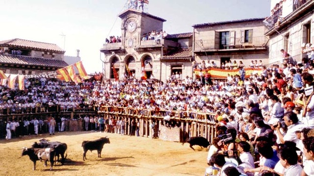 celebraciones taurinas