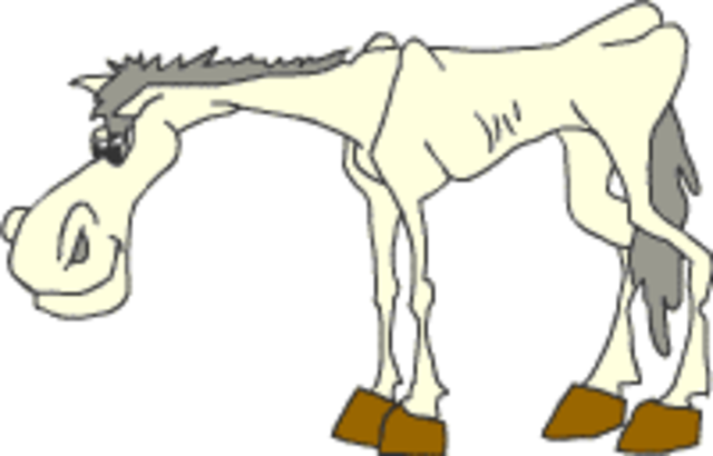 Capítulo I: Un caballero siempre tiene un buen caballo