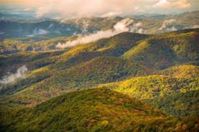 Friend moved to tennessee