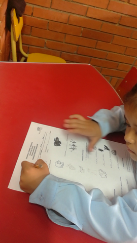 Vídeo 2 intervención Fonoaudiológica