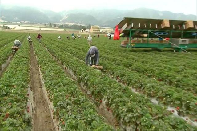 Leaving For The Cities