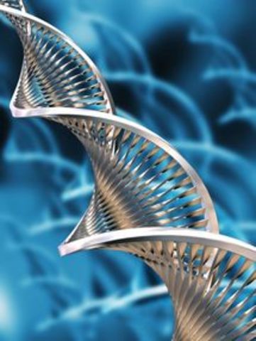 Relación Epistemologica con la BIOLOGIA