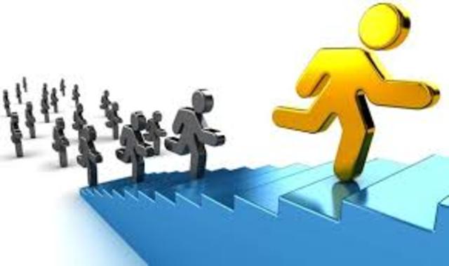 lideres en el mercado de productos de confort en el hogar