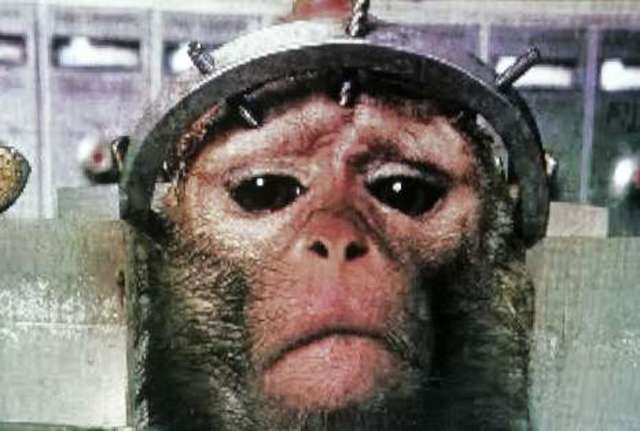 Experimentos científicos