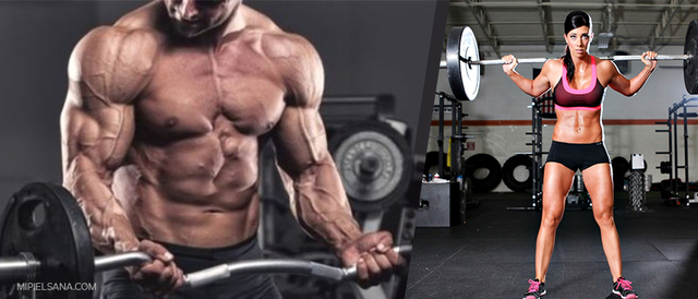 FRECUENCIA Y TIPO DE ENTRENAMIENTO