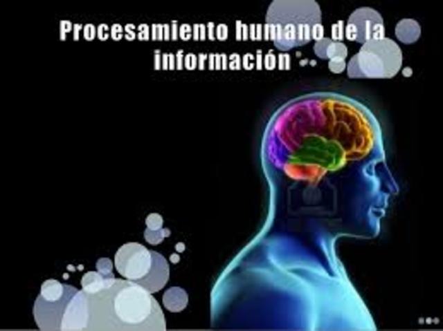 Procesamiento humano