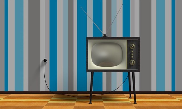El televisor