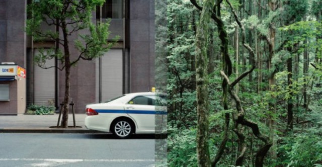 En la  evolución de la naturaleza