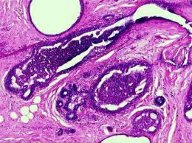 CRECIMIENTO Y DESARROLLO