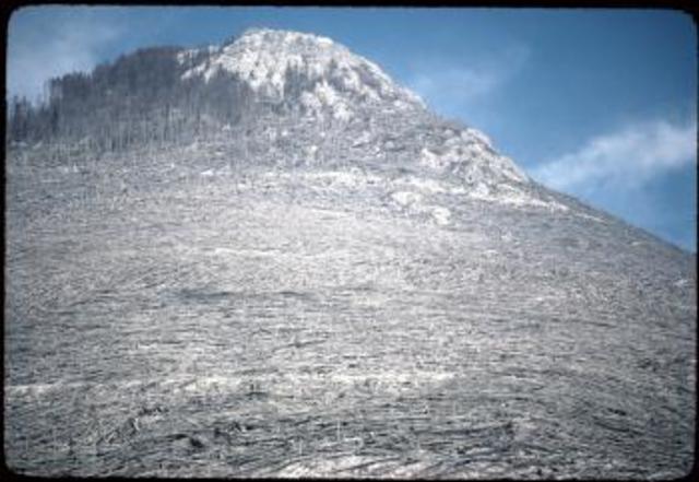 Eruption of Mount St. Helens
