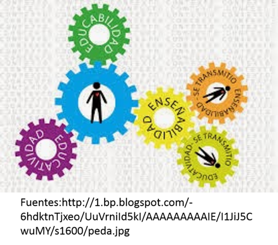 DOCENTE COMO PROFESIONAL