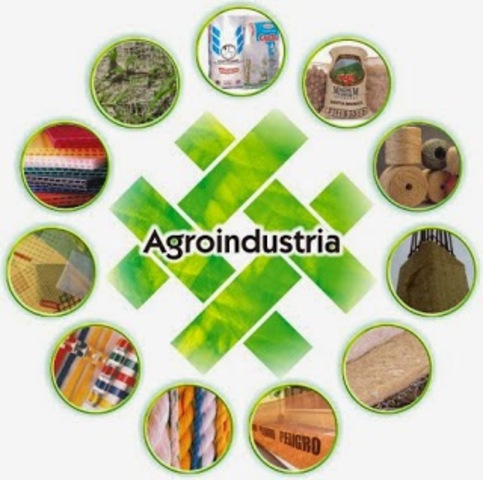 EL IMPACTO DE LA AGROINDUSTRIA