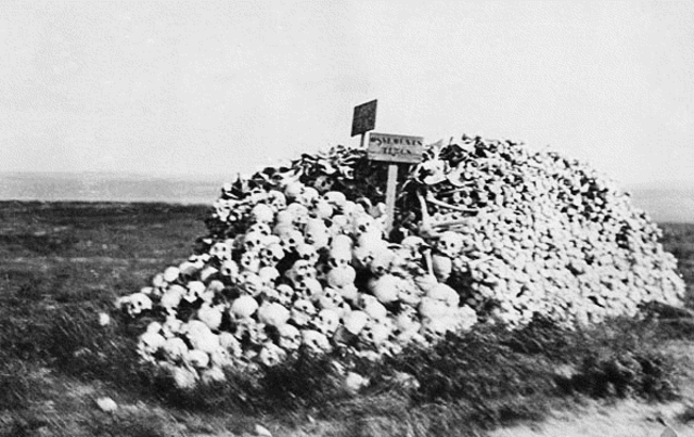 Gallipoli:  Disaster in the making. 17 February 1915 – 9 January 1916