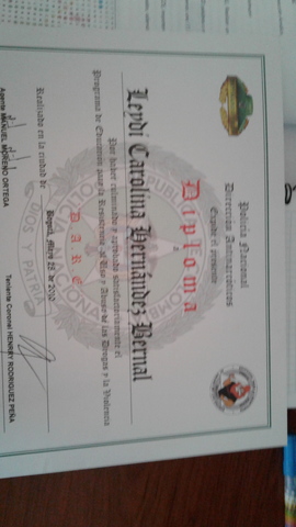 Programa de Educación En La Policía