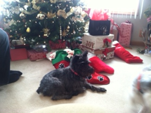 Christmas Celebration Change