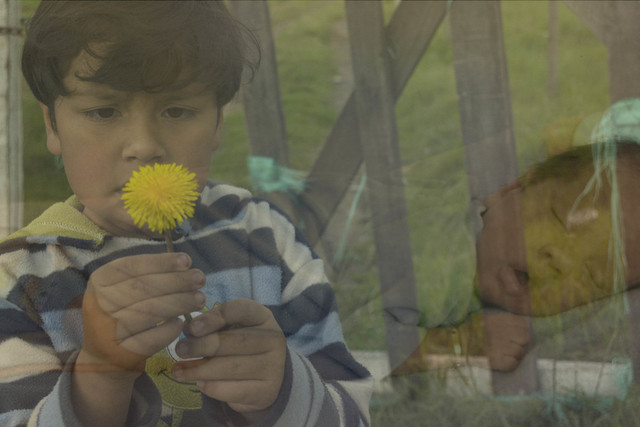 Nacimiento de Daniel