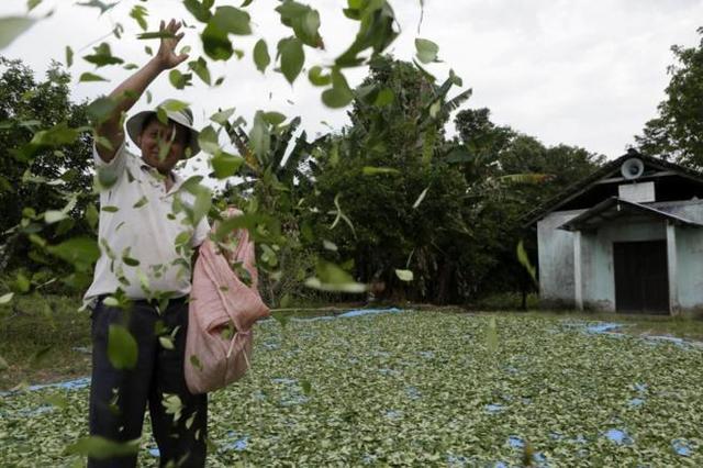 EXPANSIÓN DEL NARCOTRÁFICO