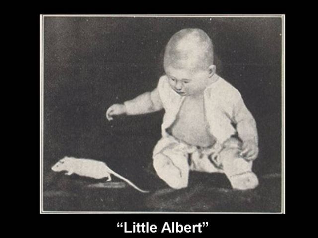 Behaviorizmus kialakulása, Watson kísérletei