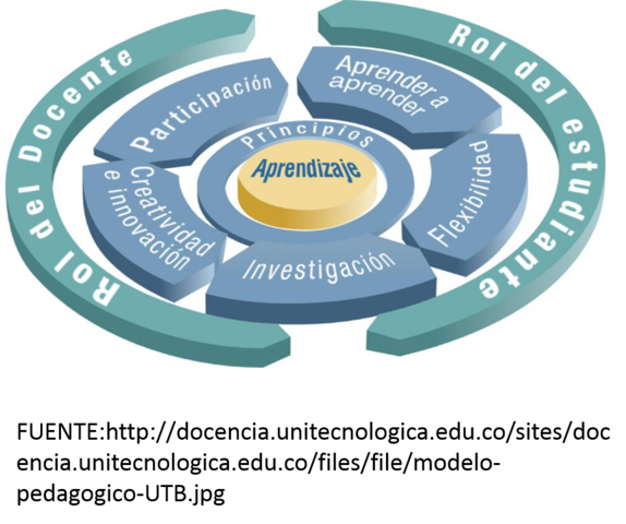 SIGLO XIX PROCESOS PEDAGÓGICOS
